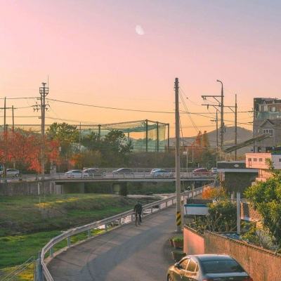 万族点名册官方版下载