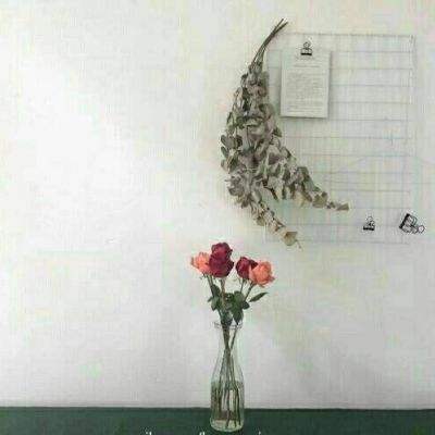 少女神式音乐官方版下载