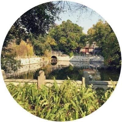 玄天剑舞变态版下载